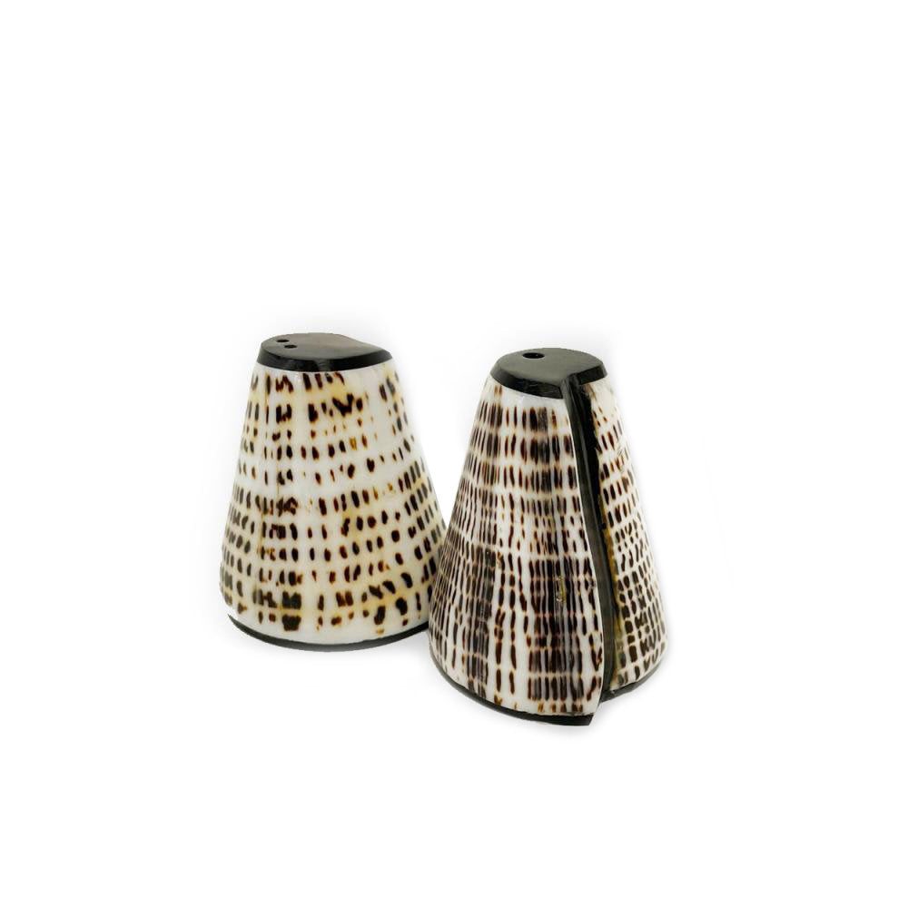 Salière et poivrière coquillage naturel noir – Set de 2