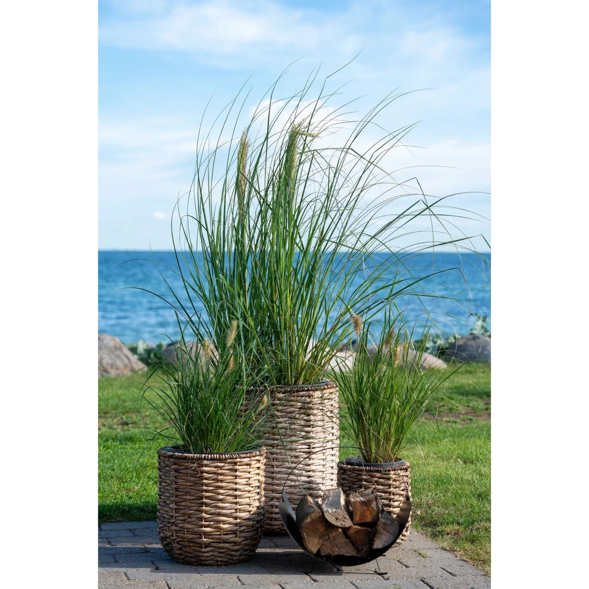 Set de 3 cache-pots ronds en jacinthe d’eau tressée avec herbes vertes hautes