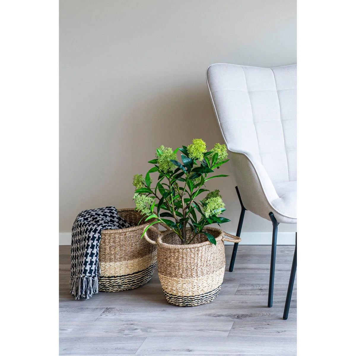 Panier en osier tissé pied-de-poule noir et beige avec plante verte