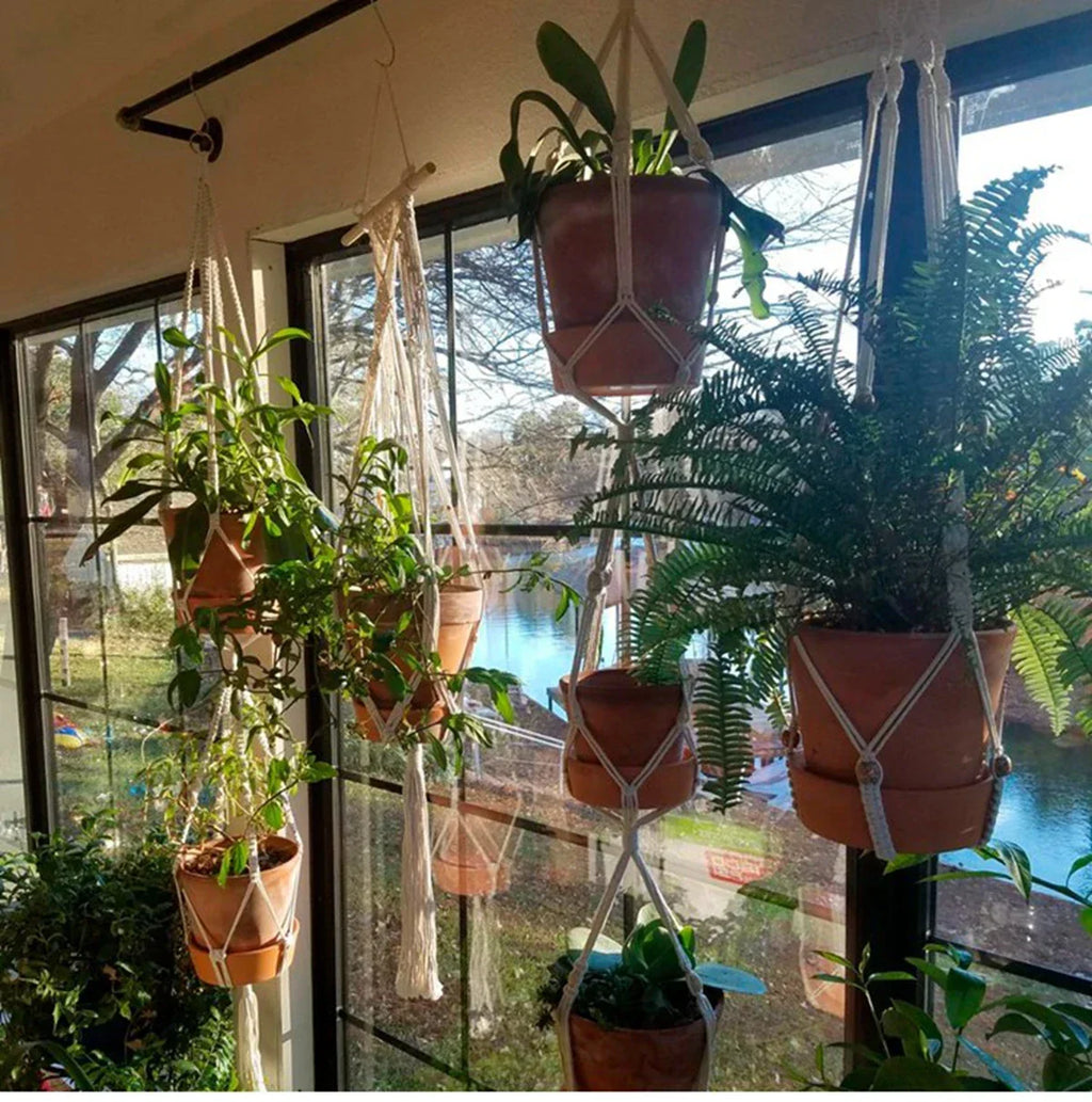 Plantes suspendues en macramé double en corde tressée blanc cassé