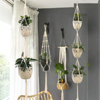 Suspension plante macramé en corde blanche avec pots de plantes vertes élégantes